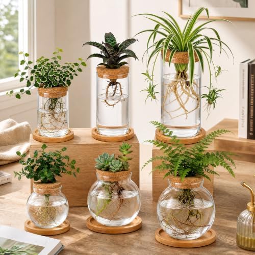 Honeydak 6 Pcs Plants Propagation Station Desktop Glass Propagation Round - Image 3
