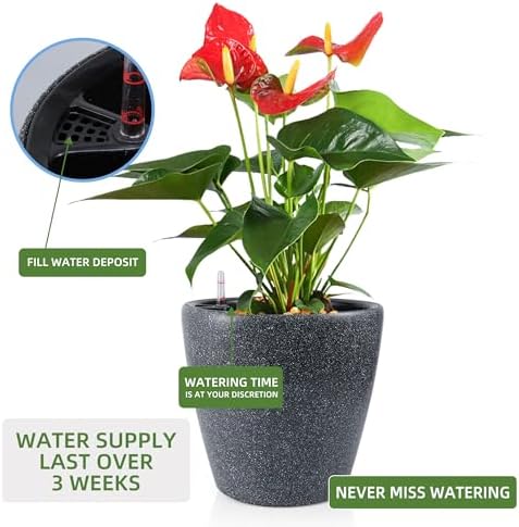 Dexceder 13x12 Self Watering Planter with Wheels (Stone Matte) - Image 5