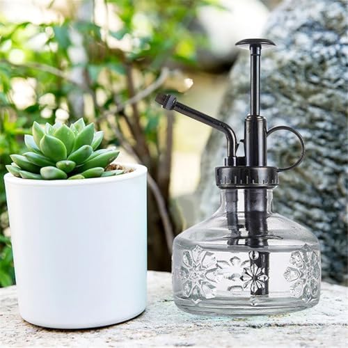 Spray Bottle for Plants, Plant Mister Spray Bottle, Glass Plant Mister Spray Bottle, Embossed Vintage Glass Watering Can, Succulent Watering Bottle with Top Pump for Outdoor (L) - Image 7