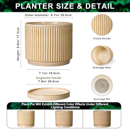8 Inch Flower Pot, Ceramic Planters, Round Plant Pot, Beige - Image 2