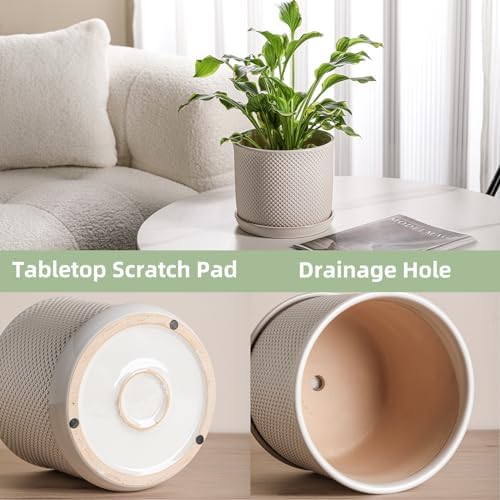 8 Inch Plant Pot: Ceramic Planter with Drainage Hole & Saucer Indoor Outdoor Plants - Flowerpot with Bonded Tray for Home Office - Beaded Embossed Style, Cream White - Image 5