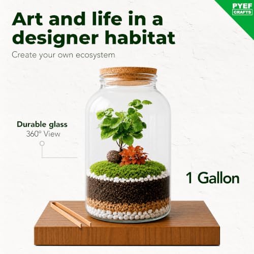 Terrarium Kit for Plants DIY (1 Gallon) - Image 2