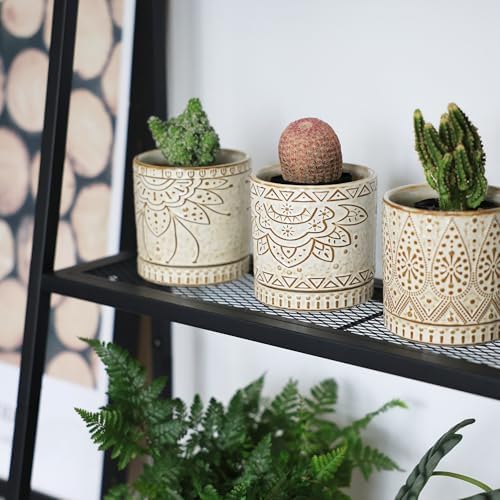 Gepege Ceramic Succulent Pots, 4 Inch Small Plant Pots with Drainage - Image 4