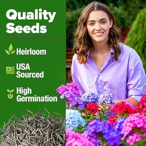HOME GROWN Verbena Moss Seeds, 6,000+ Seeds, Verbena tenuisecta - Image 2