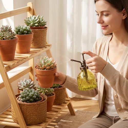 Plant Mister Spray Bottle, Retro Embossed Glass, Green - Image 5