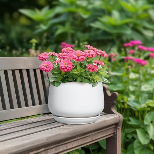 G EPGardening Ceramic Pots for Plants - 7 Inch Planter for Indoor Plants, Round Flower Pots with Drainage and Saucer, Modern Outdoor Planter, Garden Decor, Home Gifts, White - Image 4