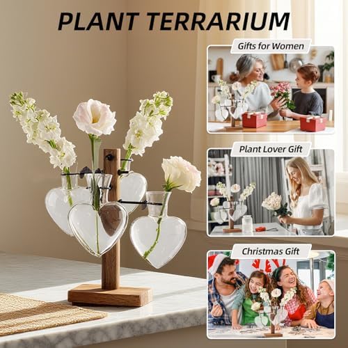 Plant Propagation Station Whith Acacia Wood Stand, 4 Heart Glass Vases - Image 6