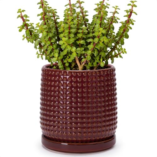 D'vine Dev Beaded Ceramic Pot with Saucer, 6 in, Burgundy Red, 27-C-X-M by DvineDevPlanterPotsandStand