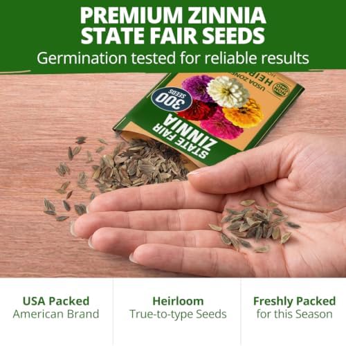 HOME GROWN State Fair Zinnia 300 Flower Seeds Zinnia elegans - Image 7