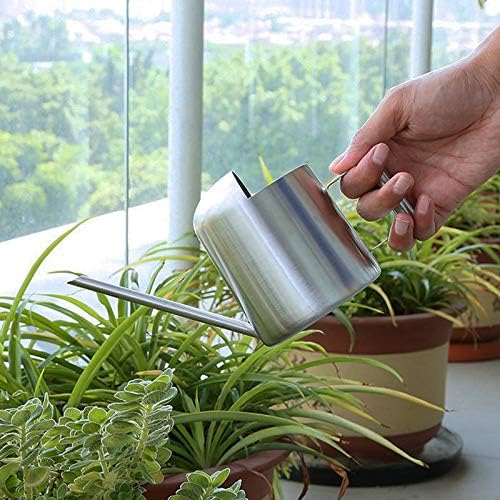 Mini Watering Can, 10oz/300ml Stainless Steel Long Spout Small Watering Can for Indoor Plants Succulents, Herbs (Silver) - Image 6