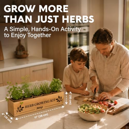 Indoor Herb Garden Kit, Herb Growing Kit for Kitchen and Windowsill - Image 4
