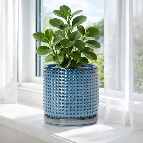 D'vine Dev Beaded Ceramic Pot with Saucer, 6 in, Ocean Teal, 27-C-X-8 - Image 6
