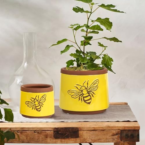 YBX Terracotta Pots Inch with Drainage Holes, Bee Decor, Ceramic Pots for Indoor Plants Flower Pots Outdoor, Succulent, Herbs, Snake Plants (Yellow, 6+4 Inch) - Image 4