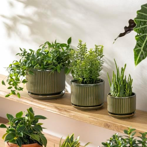 SURE YUESI Ceramic Plant Flower Pots for Indoor Plant, 4.33"+5.5"+6.88", Set of 3, Orchid Pot with Drainage Hole, Saucer and Hole Mesh Pad for Succulents, Herbs and African Violet (Light Green) - Image 4