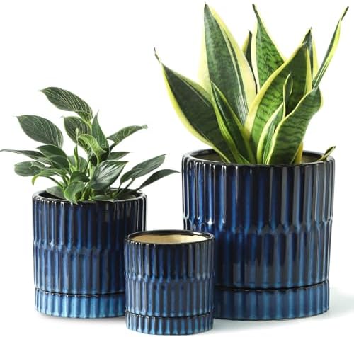 HASENSE Ceramic Pot for Plants, 3-Pack (8/6/4.6 inch) Medium Flower Planter with Drainage Holes & Tray, Rective Glaze Plant Pots Indoor with Ribbed Design, Kithen Home Office Decor, Blue by Hasense