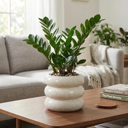 Briful Ceramic Planter Pot, 6 Inch Bubble Planter with Drainage Hole, Large Flower Planter Pots for Indoor Plants Outdoor, Home Office Modern Décor(Creamy White) - Image 4