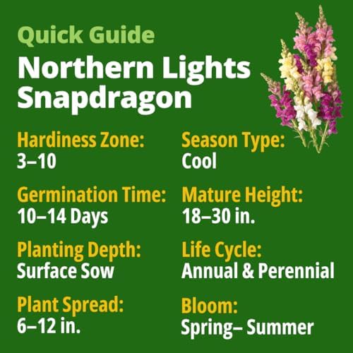 HOME GROWN Northern Lights Snapdragon 10,000 Flower Seeds Antirrhinum majus - Image 2