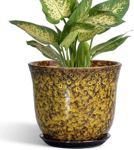 Ceramic Plant Pots - 5.6 Inch Planter with Drainage Hole and Saucer, Succulent Orchid Pots for Indoor Outdoor, Small Round Flower Pot, Room Window Office Decor, House Warming Gifts, Yellow by SUNPOTFOR