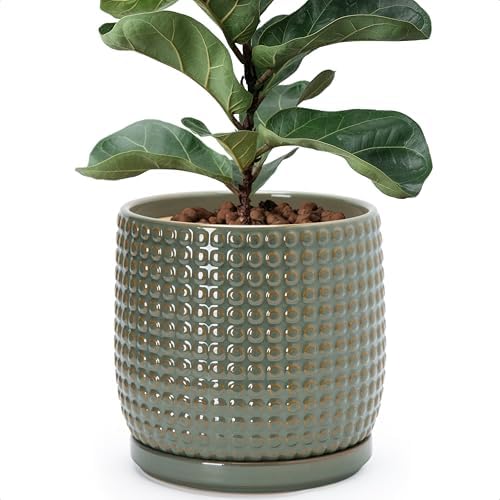 D'vine Dev Beaded Ceramic Pot with Saucer, 8 in, Olive, 27-C-Q-0 by DvineDevPlanterPotsandStand