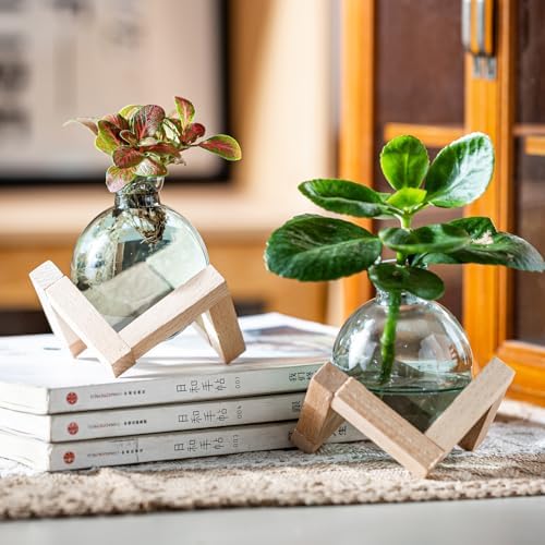 Plant Propagation Station, Plant Terrarium with Wooden Stand for Hydroponic Plant Propagation, Propagation Vases for Plants, Green Glass Bulb Vases for Home Office Decor (2) - Image 4