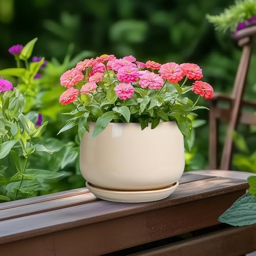 G EPGardening Ceramic Pot for Plants, 6 Inch Planter with Drainage, Beige - Image 4