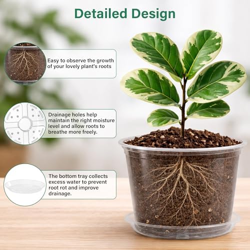 Bluepro Clear Nursery Pots with Saucers, 5/6/8/10 Inch, 12-Pack - Image 3
