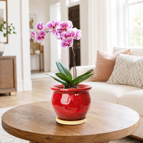 4.5 Inch Plant Pots with Drainage, Small Ceramic Pots for Indoor Plants - Image 5