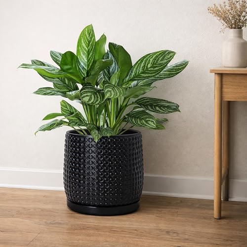 D'vine Dev Beaded Ceramic Pot with Saucer, 8 in, Ebony Matte, 27-C-Q-6 - Image 7