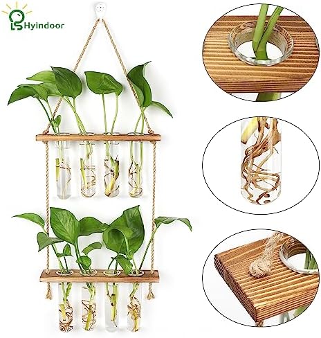 Hyindoor Wall Hanging Planter Terrarium 2 Tired Test Tube Vase Glass Planter Plant Propagation Station Plant Hangers of Rope with Wooden Stand and 8 Tubes for Hydroponic Plant Cutting - Image 5