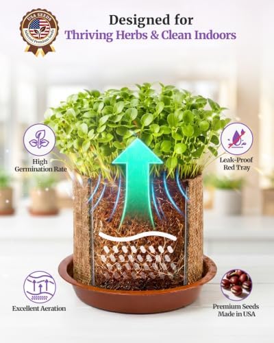 10-Herb Indoor Garden Kit, Complete Kitchen Herb Starter Set - Image 5