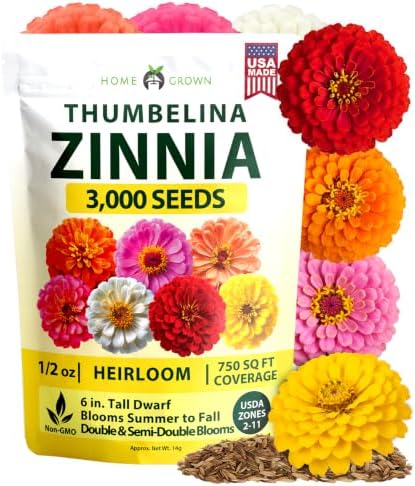 HOME GROWN Thumbelina Zinnia 3,000 Flower Seeds Zinnia elegans by HOMEGROWN
