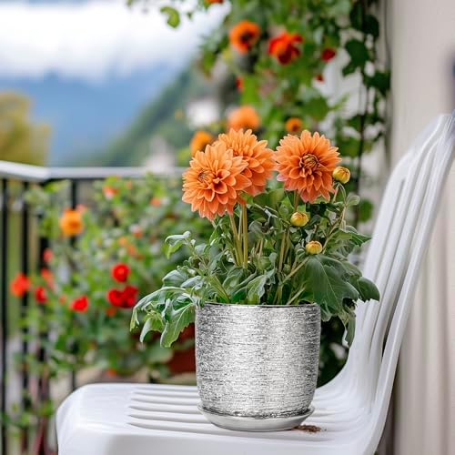 Ceramic Plant Pot 5 Inch - Indoor Planter with Drainage Hole and Saucer, Round Modern Flower Pot for Succulent Plants, Housewarming Gifts, Office Home Desk Decor, Silver - Image 7