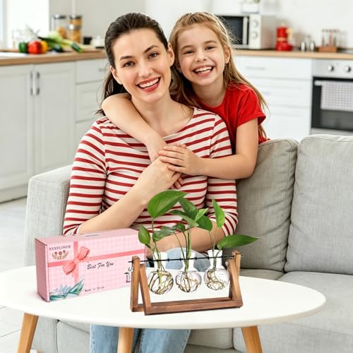 XXXFLOWER Plant Terrarium with Wooden Stand, Air Planter Bulb Glass Vase Metal Swivel Holder Retro Tabletop for Hydroponics Home Garden Office Decoration - 3 Bulb Vase - Image 4