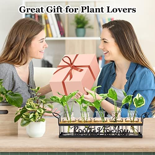 Plant Propagation Station "Rooting for You" Hydroponic Planter Vase - Image 7