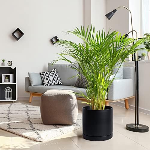 D'vine Dev 12 Inch Ceramic Planter Pot, Black, 94-O-F-2 - Image 2