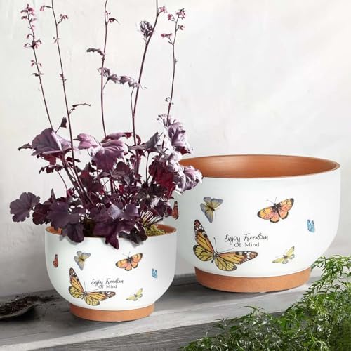 Terracotta Pots, 8+6 Inch Plant Pots, 2 Pcs with Drainage Holes - Image 4
