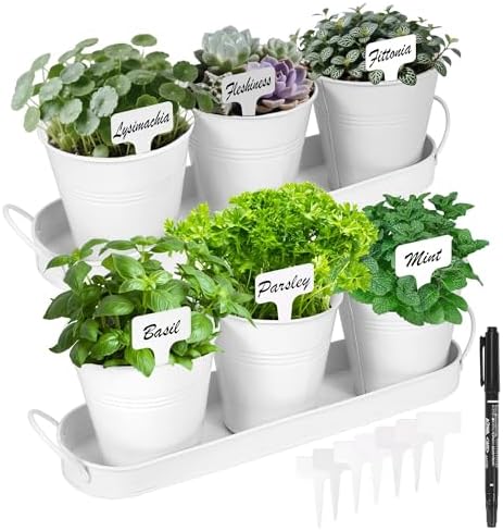 Herb Garden Planter Indoor Kit – 6 Metal Pots with 2 Trays for Windowsill & Kitchen Counter – Modern Decorative Indoor Planters for Herbs, Succulents & Small Plants, White by Wacloud