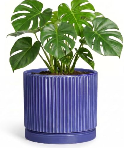 Ceramic Flower Pots, 8 Inch Plant Pot, Round Pots for Plants, Blue by Unknown
