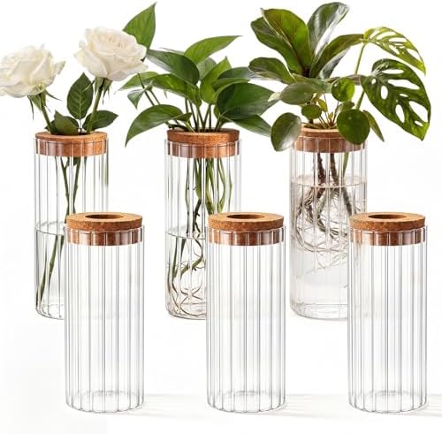 6 Set Propagation Station Jar Desktop Glass Planter Station Flower Vases Water Terrarium Jar with Cork Lid for Propagating Flower Plants Centerpiece Office Home Garden Decor(Medium) by Ferrochef
