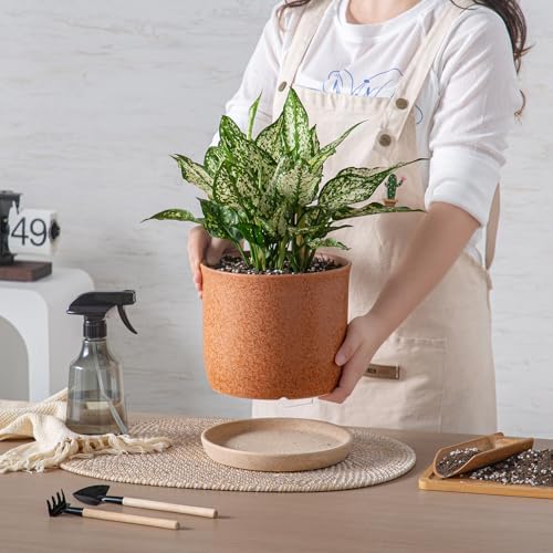 8 Inch Ceramic Plant Pot with Drainage Hole & Separate Saucer - Image 2