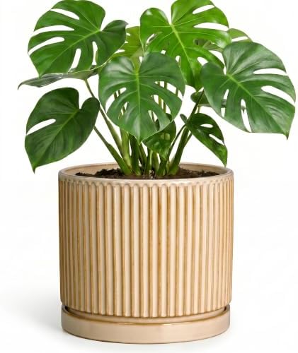 8 Inch Flower Pot, Ceramic Planters, Round Plant Pot, Beige by Unknown