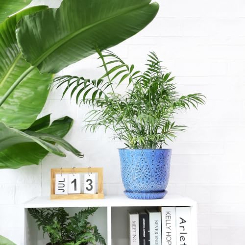 Gepege 8 Inch Ceramic Plant Pot with Drainage & Saucer - Image 4