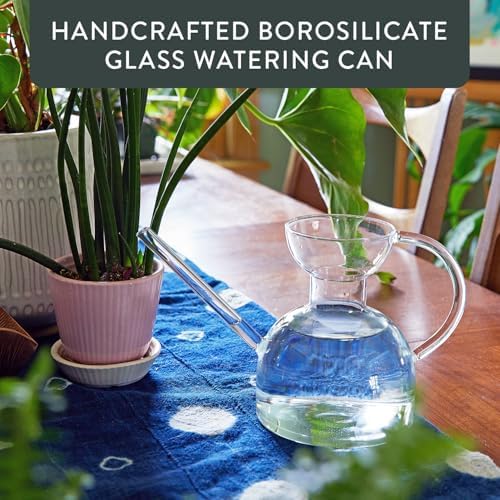 Modern Sprout Glass Watering Can - 32 oz - Long Spout Modern Decor (Clear) - Image 2