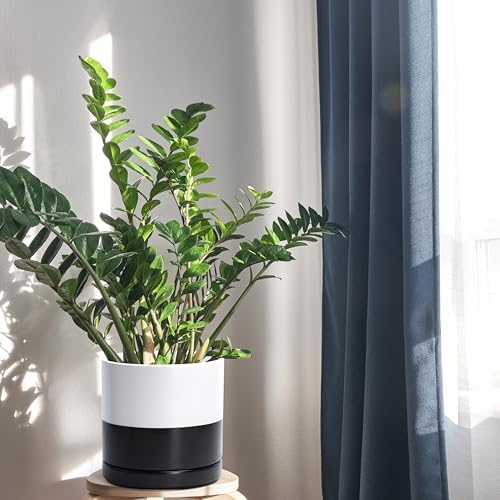 D'vine Dev 8.2 Inch Ceramic Planter Pot, Black White Two Tone, 94-O-D-L - Image 3