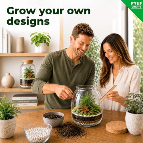 Terrarium Kit, Succulents & Indoor Plants Set DIY - Image 5