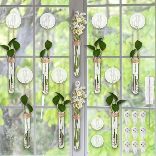 Baderke 9 Pack Clear Window Propagation Stations Plastic Window Planter with Suction Cups & Traceless Nails, Propagated Plant Holders with Bottle Brush, Hanging Vases Terrarium Gift(5") by Baderke