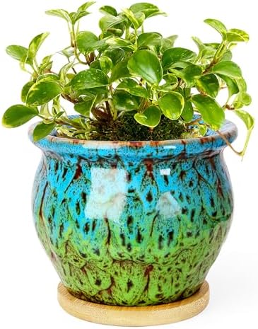 4.5 Inch Plant Pots, Small Pots for Plant Indoor, Succulent Pots with Tray by ARTKETTY