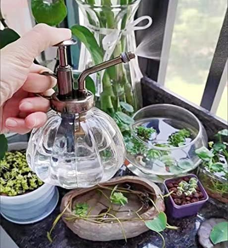 Glass Plant Spray Mister, Watering Spray Bottle, 6.4" Tall Vintage Fine Mist Spritzer Watering Can with Bronze Plastic Top Pump, Small Decorative Watering Can for Succulent House Plant (Yellow) - Image 3