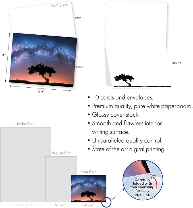 The Best Card Company - 20 Assorted Blank Notecards Box Set 4 x 5.12 Inch with Envelopes (10 Designs, 2 Each) - Tree Settings AM10325OCB-B2x10