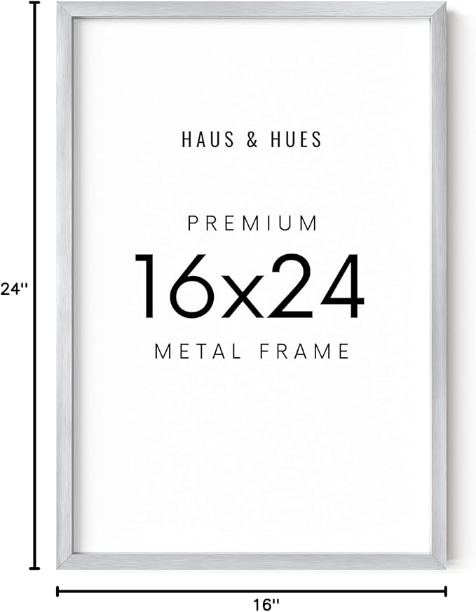 HAUS AND HUES Standalone Silver Aluminum Frame Set of 1-16x24